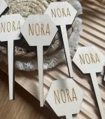 Plantenstekers (10 stuks)